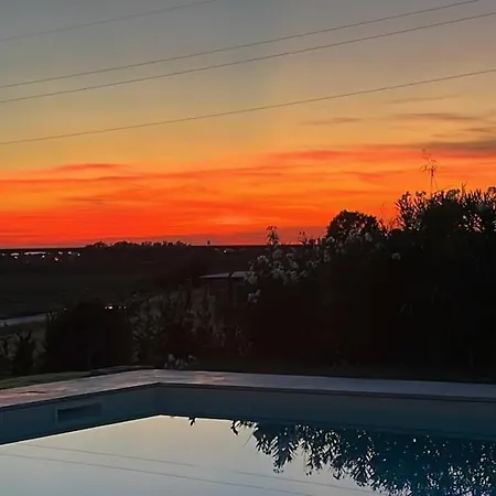 Il Podere Di Remo Daire Collesalvetti